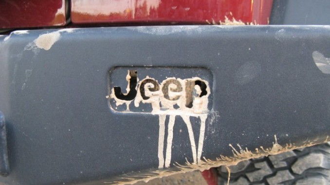 harrybumper