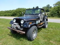 Bantam-Jeep-Festival-Show-203