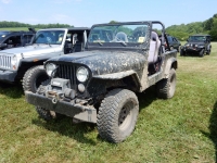 Bantam-Jeep-Festival-Show-213