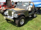 pajeeps2013-259