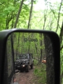 tarhollowspring2013-02